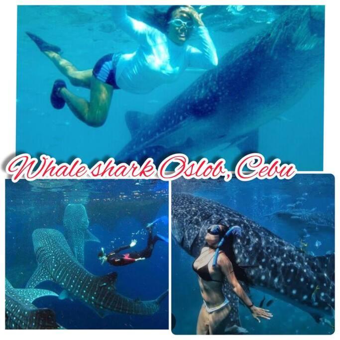 Marina Dalei 1 At Dumaguete *